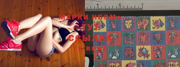 амф Видное