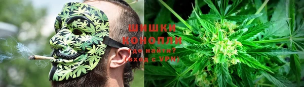 мяу мяу мука Абаза